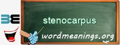 WordMeaning blackboard for stenocarpus